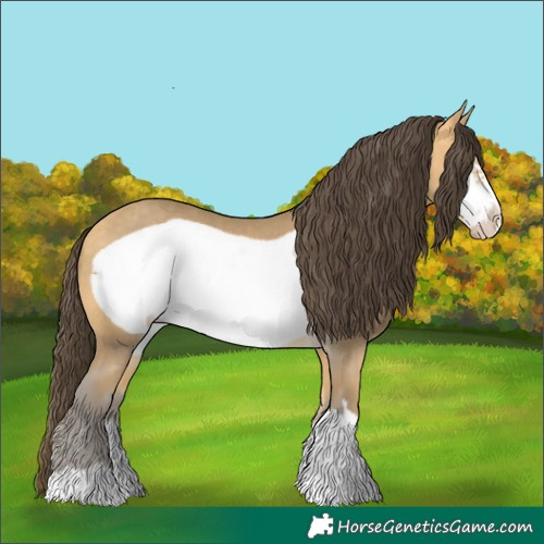 Horse Color:Amber Cream Champagne Frame 