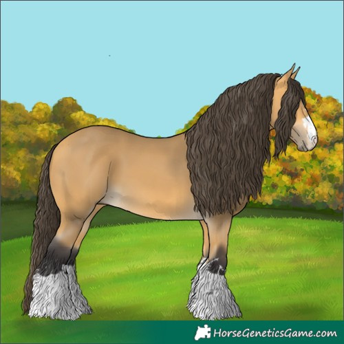 Horse Color:Unknown 