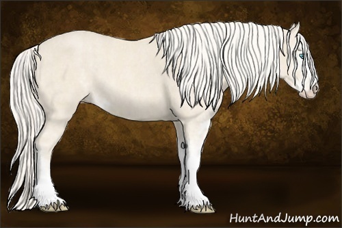 Horse Color:Cremello Sabino  Brindle