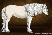 Horse Color:Cremello Sabino Brindle