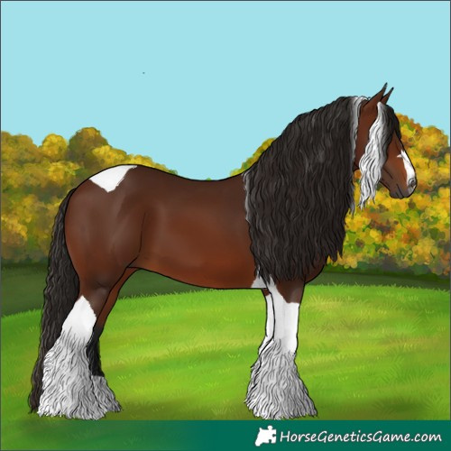 Horse Color:Gray Bay Tobiano 