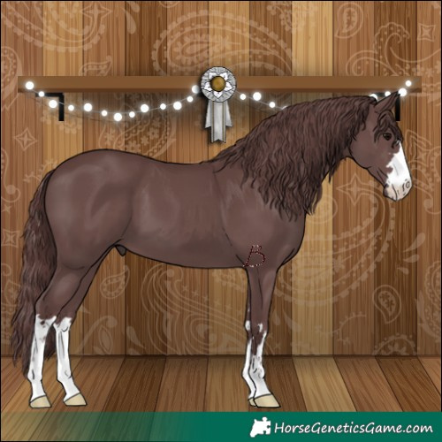 Horse Color:Chocolate Black 