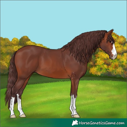 Horse Color:Chocolate Brown 