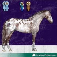 Horse Color:Gray Chocolate Brown Blanket 