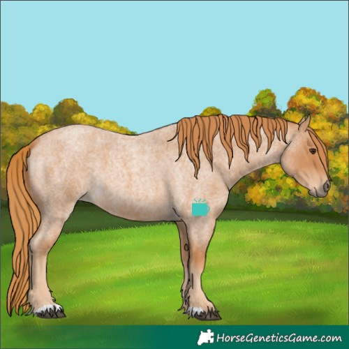 Horse Color:Red Roan 