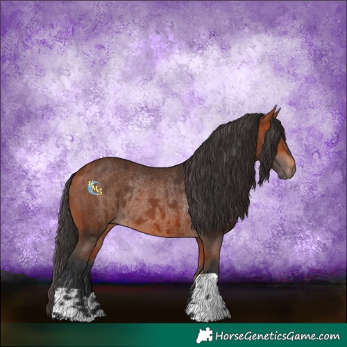 Horse Color:Bay Rabicano and Bay Rabicano
