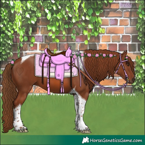 Horse Color:Chestnut Tobiano 