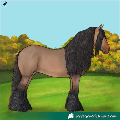 Horse Color:Bay Dun