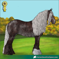 Horse Color:Chocolate Silver Brown Chinchilla Ice