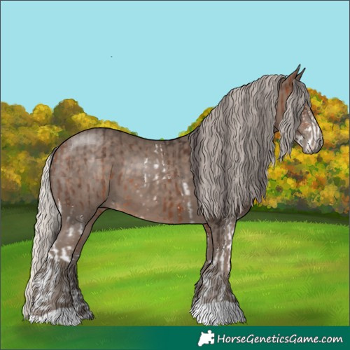 Horse Color:Bay Sabino  and Silver Black 