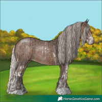 Horse Color:Bay Sabino  and Silver Black 