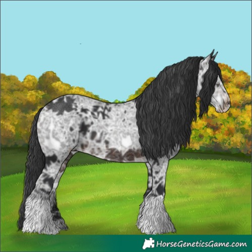 Horse Color:Brown Ice