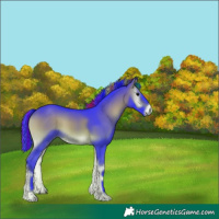 Horse Color:Painted Watercolor Brown Onyx