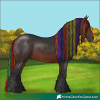 Horse Color:Painted Bay