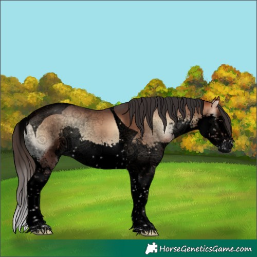 Horse Color:Void White Spotted Bay Onyx Splash Tobiano 