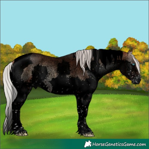 Horse Color:Void Silver Brown Roan Onyx Splash Tobiano 