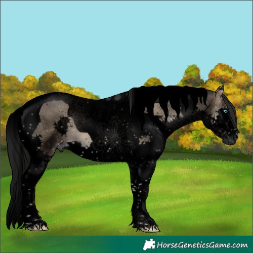 Horse Color:Gray Void Blue Onyx Splash Tobiano 