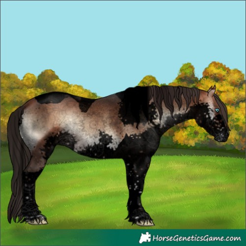 Horse Color:Void Brown Onyx Splash Tobiano