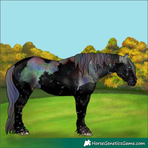 Horse Color:Void Nacre Brown Onyx Splash Tobiano 