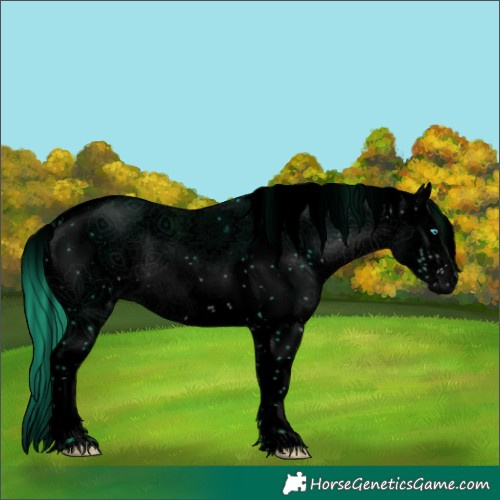 Horse Color:Void Watercolor Bay Sabino Splash 