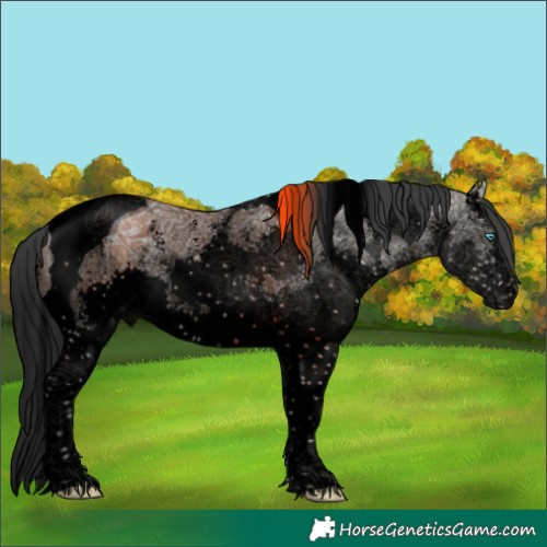 Horse Color:Void Grullo Ice Sabino Splash Tobiano Rabicano