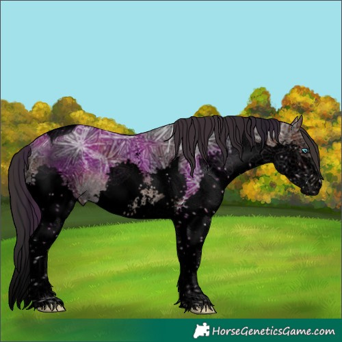 Horse Color:Void Brown Ice Sabino Splash Tobiano Rabicano 