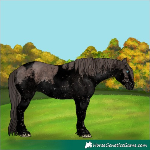 Horse Color:Void Platinum White Spotted Liver Chestnut Splash Tobiano 