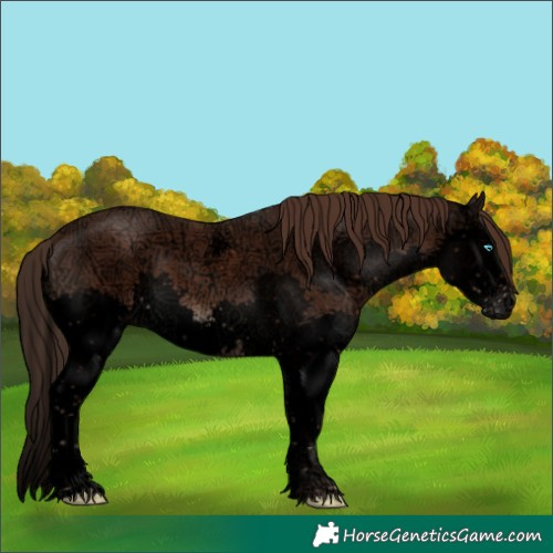 Horse Color:Void Liver Chestnut Ice Sabino Splash 