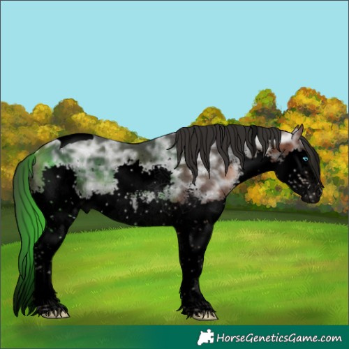 Horse Color:Void Brown Ice Sabino Splash Tobiano 