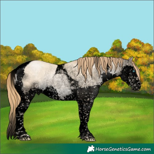 Horse Color:Void Buckskin Pearl Dun Splash Tobiano Rabicano Brindle