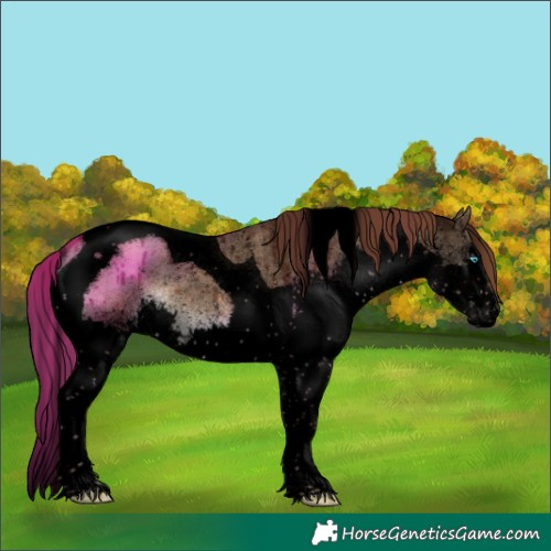 Horse Color:Void Liver Red Dun Splash Tobiano Brindle 