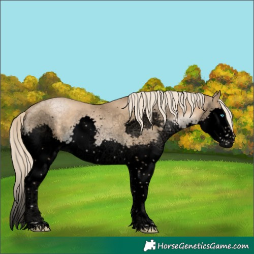 Horse Color:Void Chocolate Palomino Pearl Sabino Splash