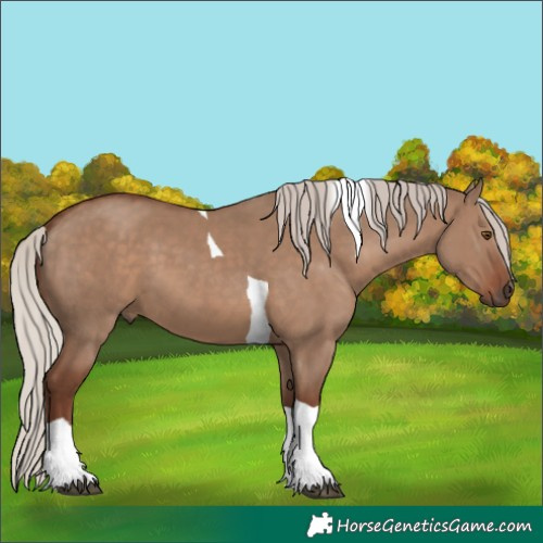 Horse Color:Silver Grullo Tobiano 