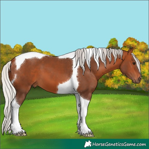 Horse Color:Silver Bay Tobiano 