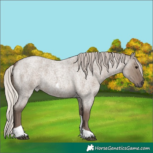 Horse Color:Silver Grullo Roan Tobiano 