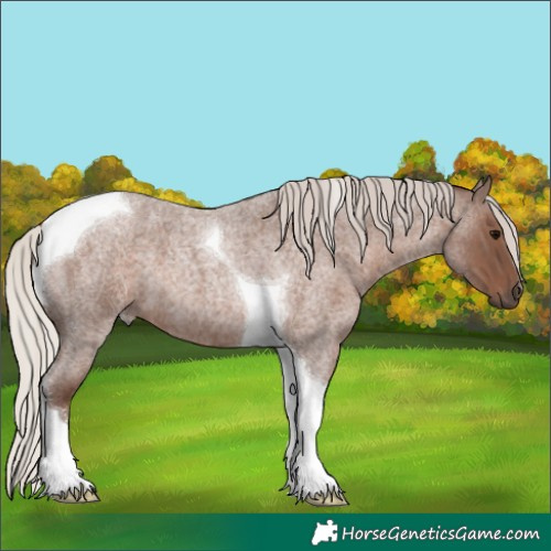 Horse Color:Silver Blue Roan Tobiano 