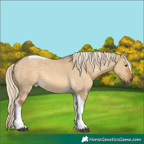 Horse Color:Chocolate Palomino Dun Tobiano 