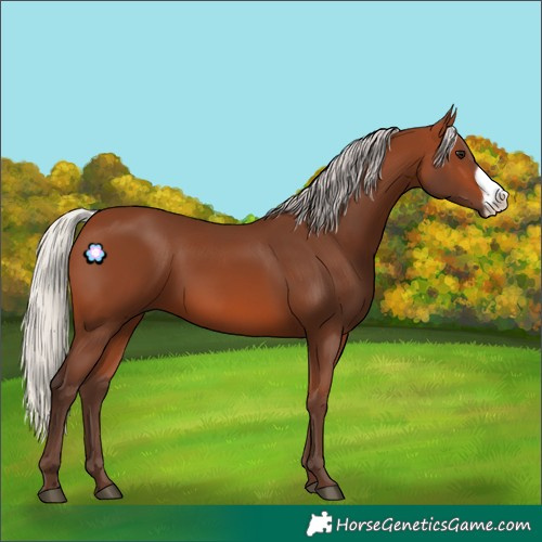 Horse Color:Silver Brown Frame 
