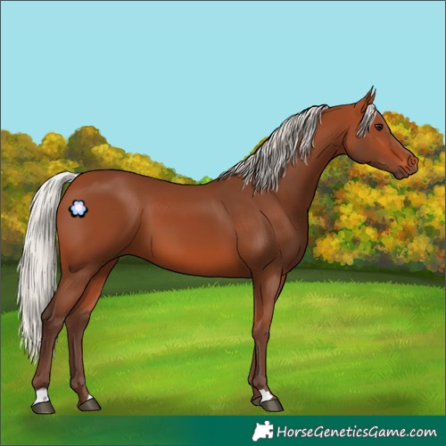 Horse Color:Silver Bay