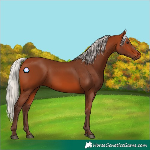 Horse Color:Silver Bay