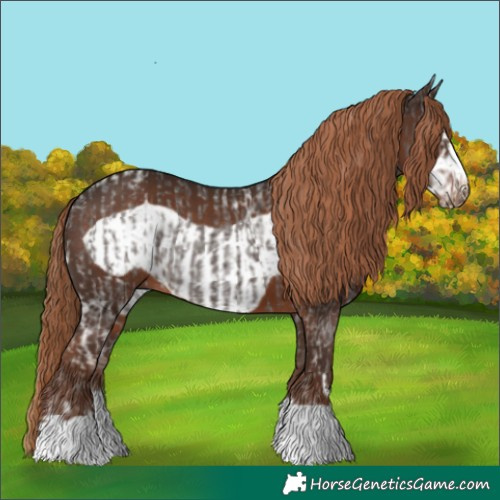 Horse Color:Liver Chestnut Ice and Liver Chestnut Frame
