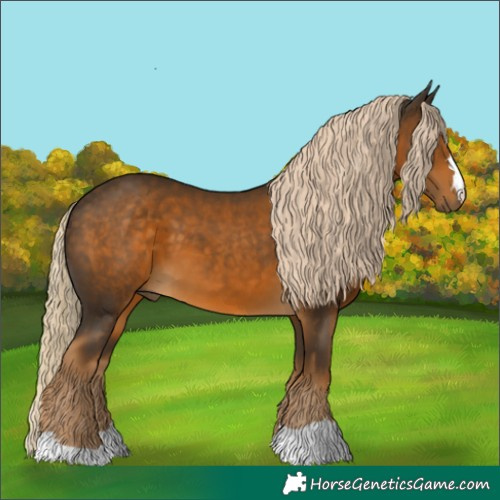 Horse Color:Chocolate Palomino 