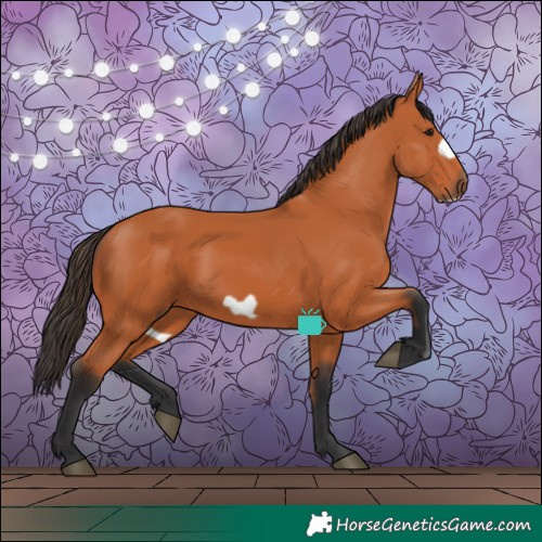 Horse Color:Bay Frame 