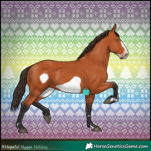 Horse Color:Bay Frame
