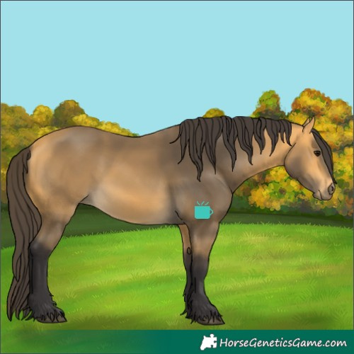 Horse Color:Buckskin 