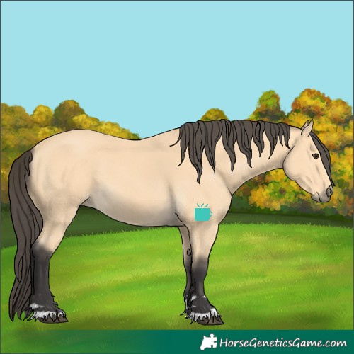 Horse Color:Buckskin
