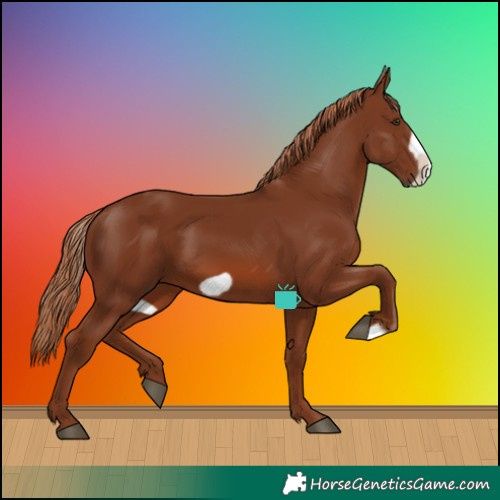 Horse Color:Chestnut Frame