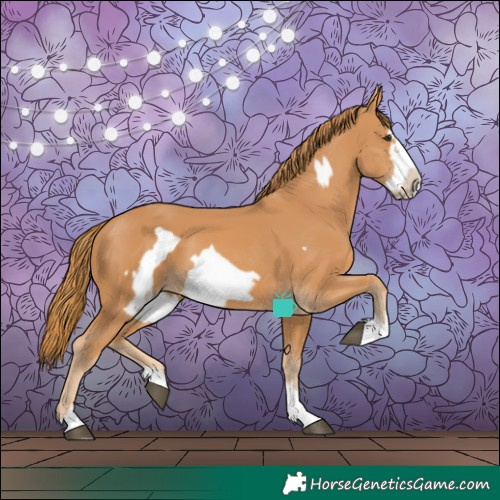 Horse Color:Chestnut Frame 