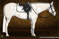 Horse Color:Cremello Sabino  Brindle