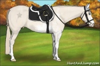 Horse Color:Perlino Sabino Brindle